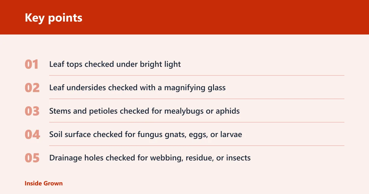 Key points: Plant quarantine inspection log