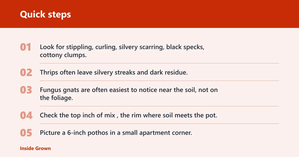 Quick steps: What should you inspect on each check?