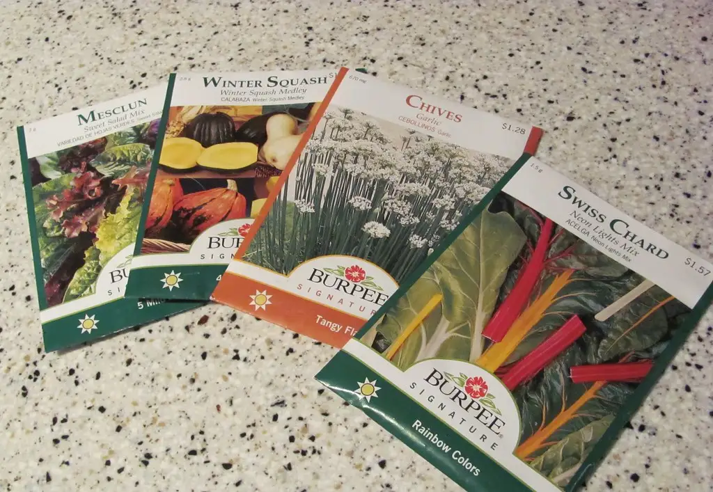 Close-up of a seed packet next to a ruler and scattered seeds on a wooden table.