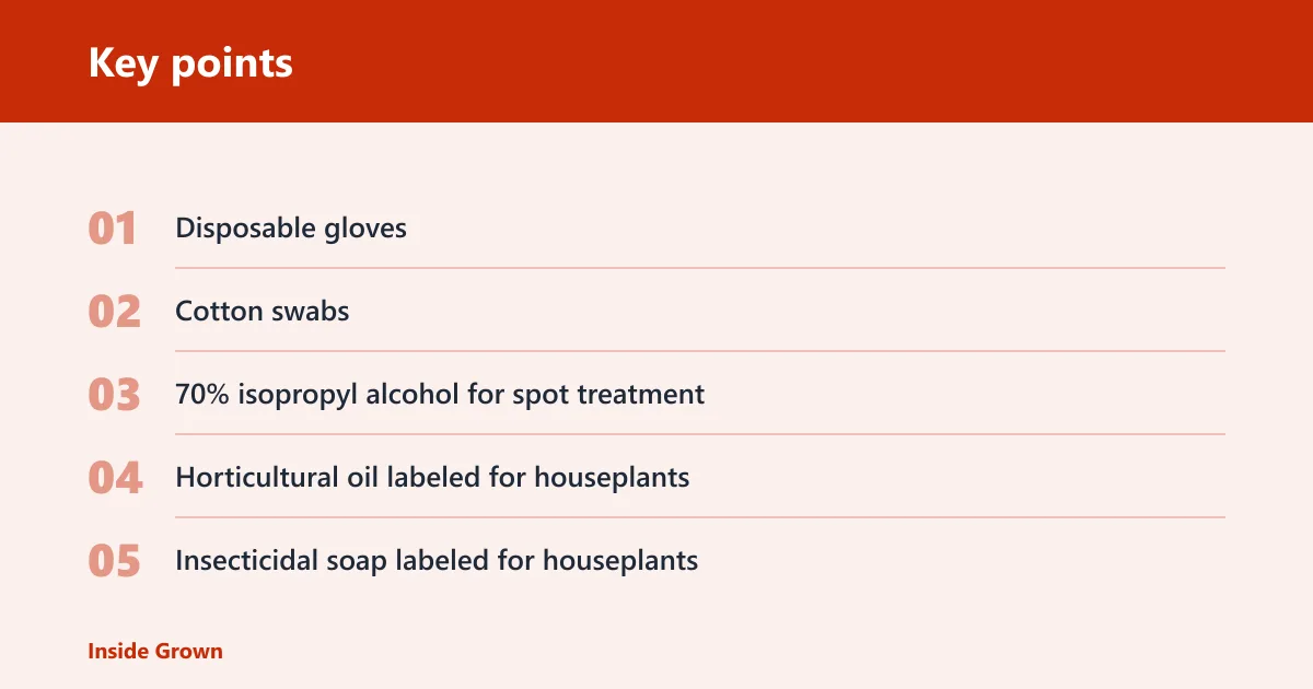 Key points: What you’ll need