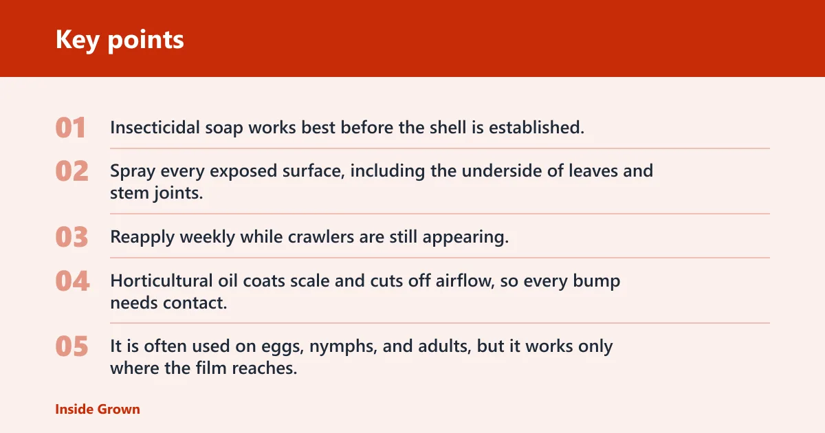 Key points: Choose the first treatment