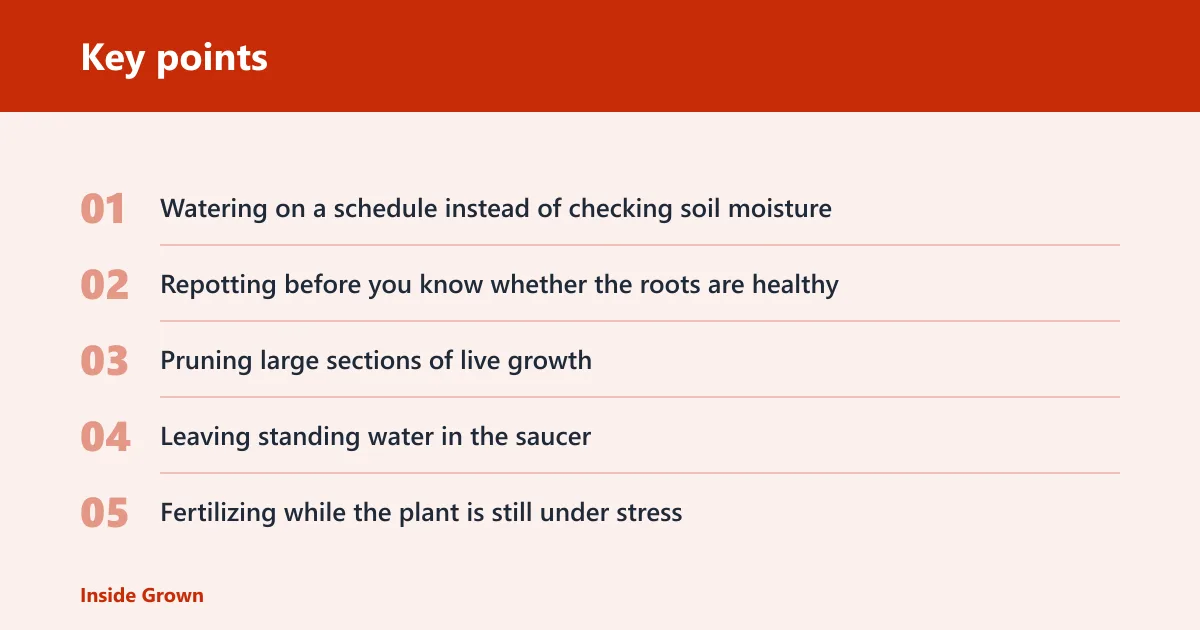 Key points: Common mistakes