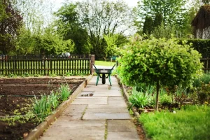 How to Rotate Crops in a Vegetable Garden