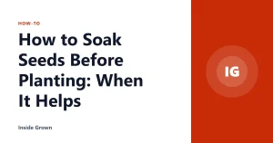 How to Soak Seeds Before Planting: When It Helps