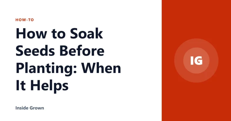How to Soak Seeds Before Planting: When It Helps