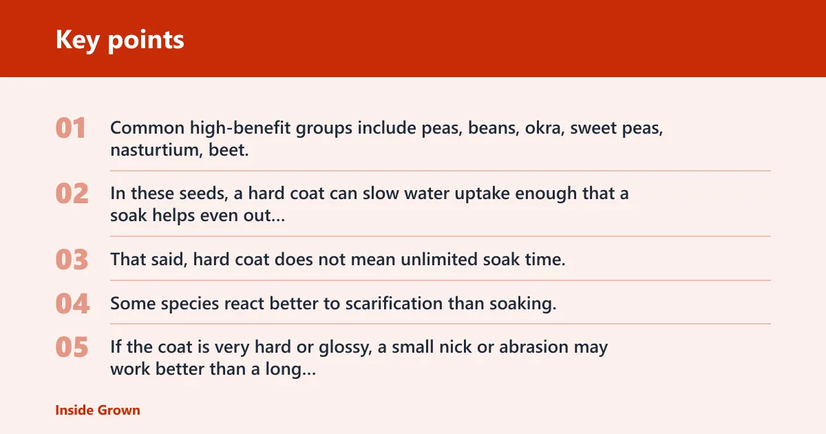Key points: Which seeds should you soak, and which should you skip?