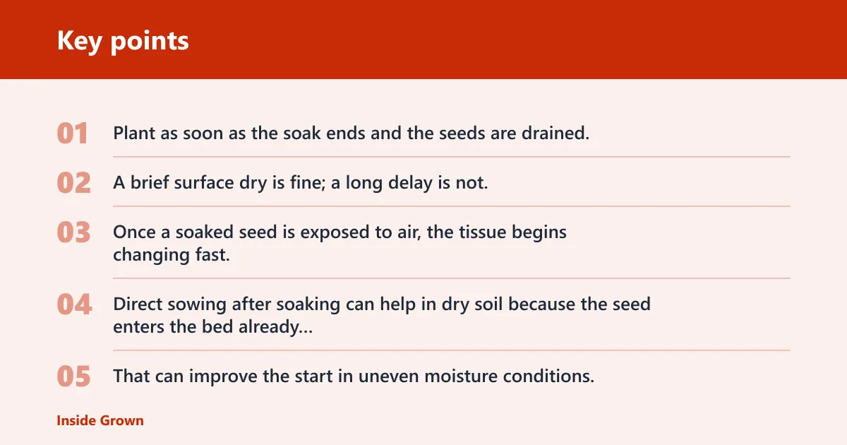Key points: What should you do after soaking seeds?