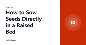 How to Sow Seeds Directly in a Raised Bed