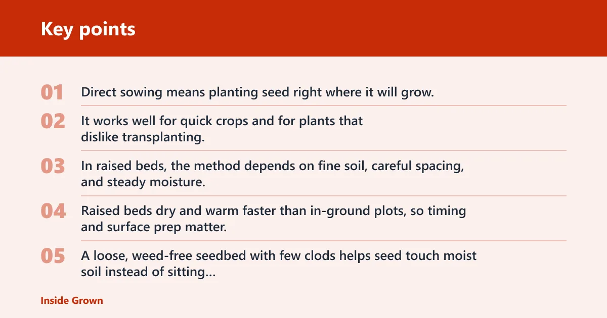 Key points: What direct sowing means in a raised bed