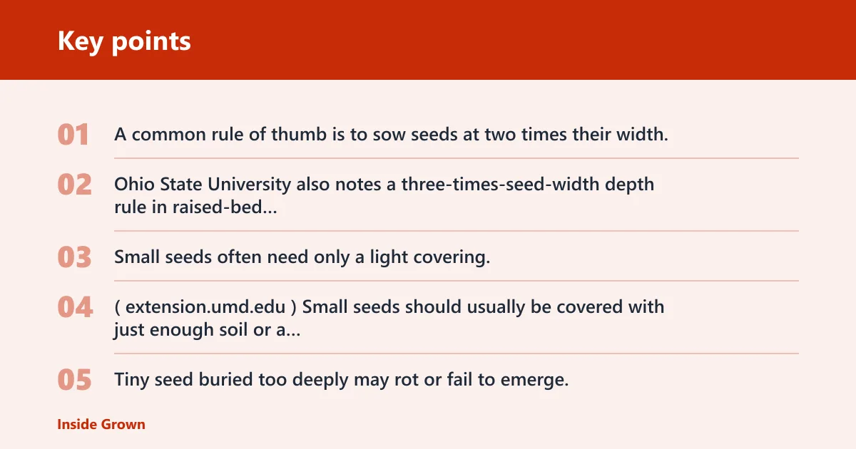 Key points: How deep should you plant seeds in a raised bed?