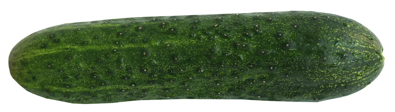 How to start cucumber seeds indoors