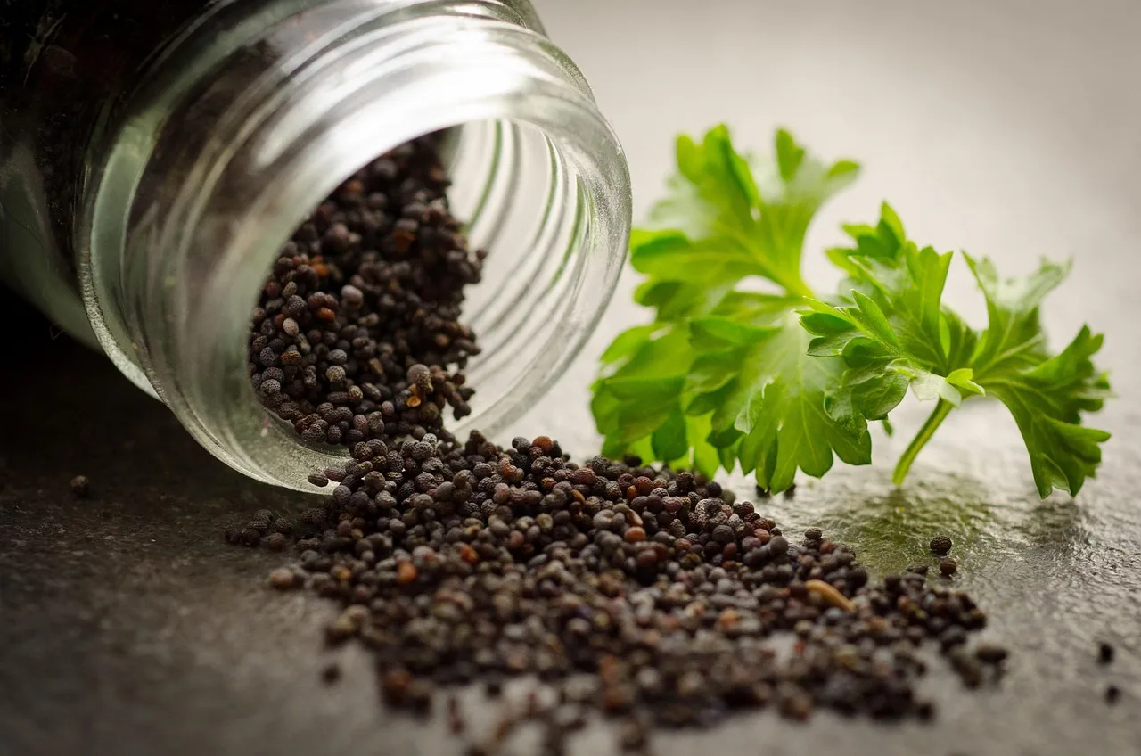 Which herbs are easiest to start from seed indoors in winter?