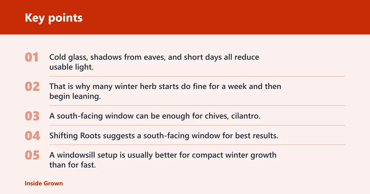 Key points: Do herbs need a grow light?