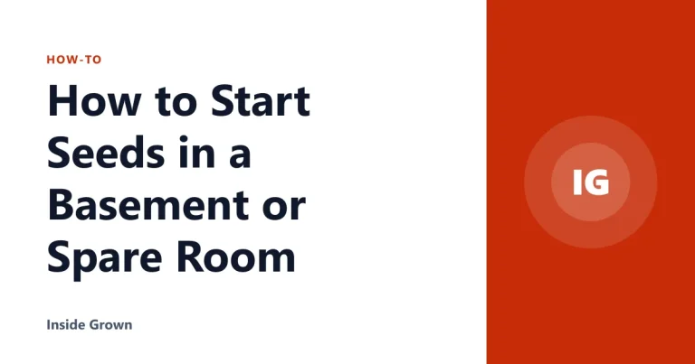How to Start Seeds in a Basement or Spare Room