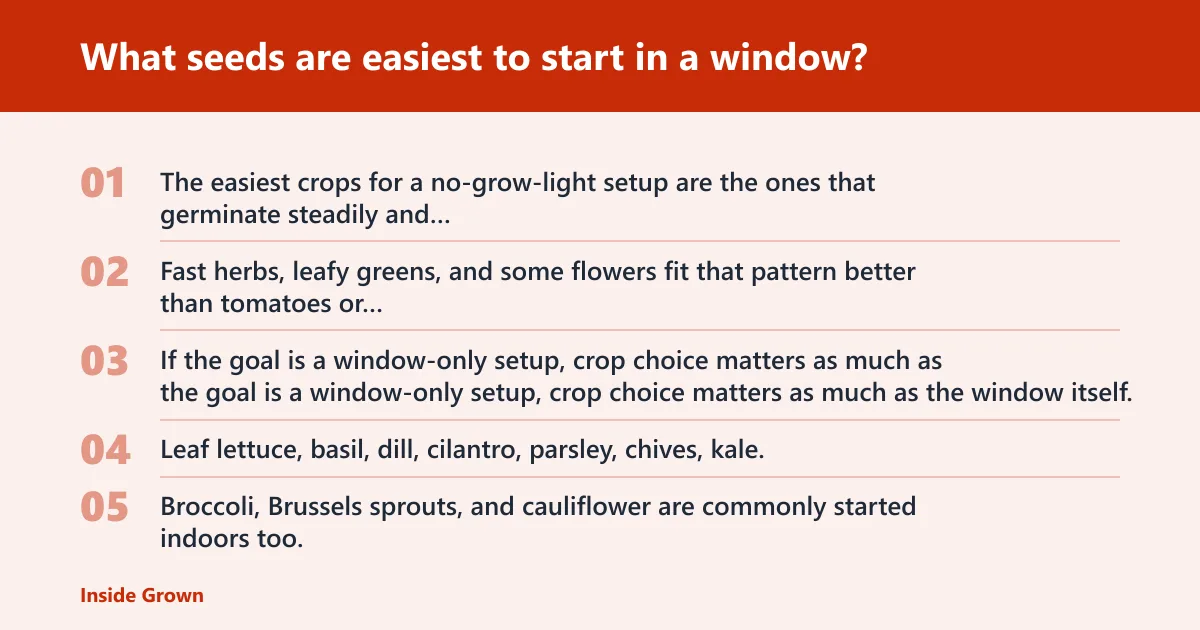 Steps: What seeds are easiest to start in a window?