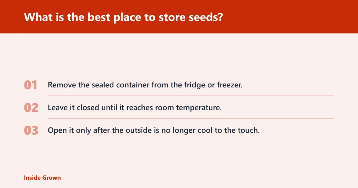 Steps: What is the best place to store seeds?