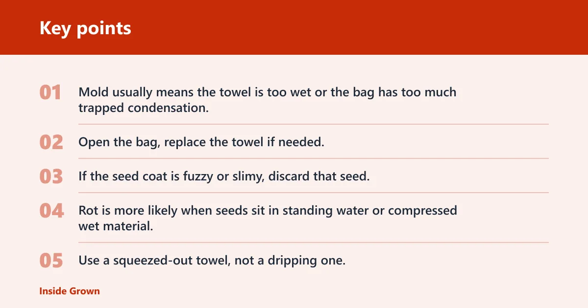 Key points: Common mistakes