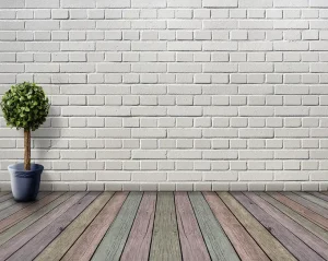 How to Tell if a Houseplant Needs Repotting: 7 Signs