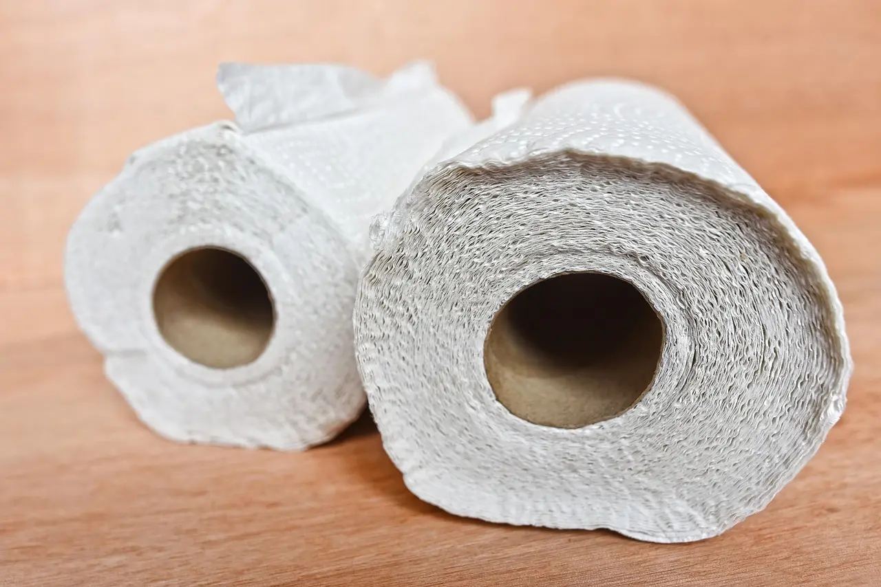 What is the paper towel method for seed germination?