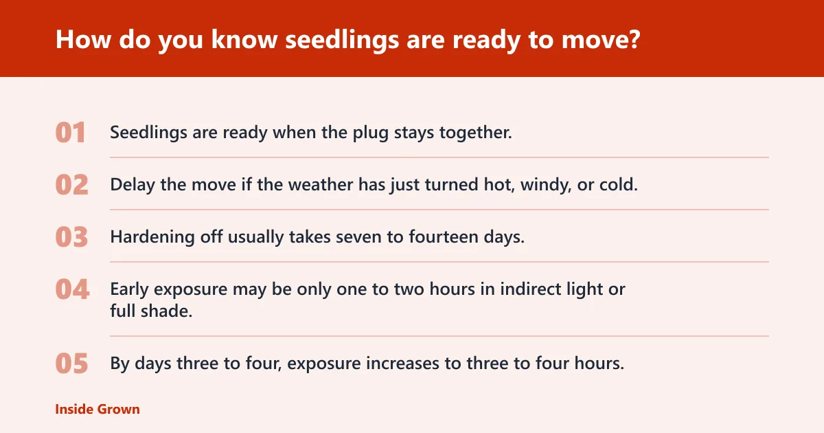 Steps: How do you know seedlings are ready to move?