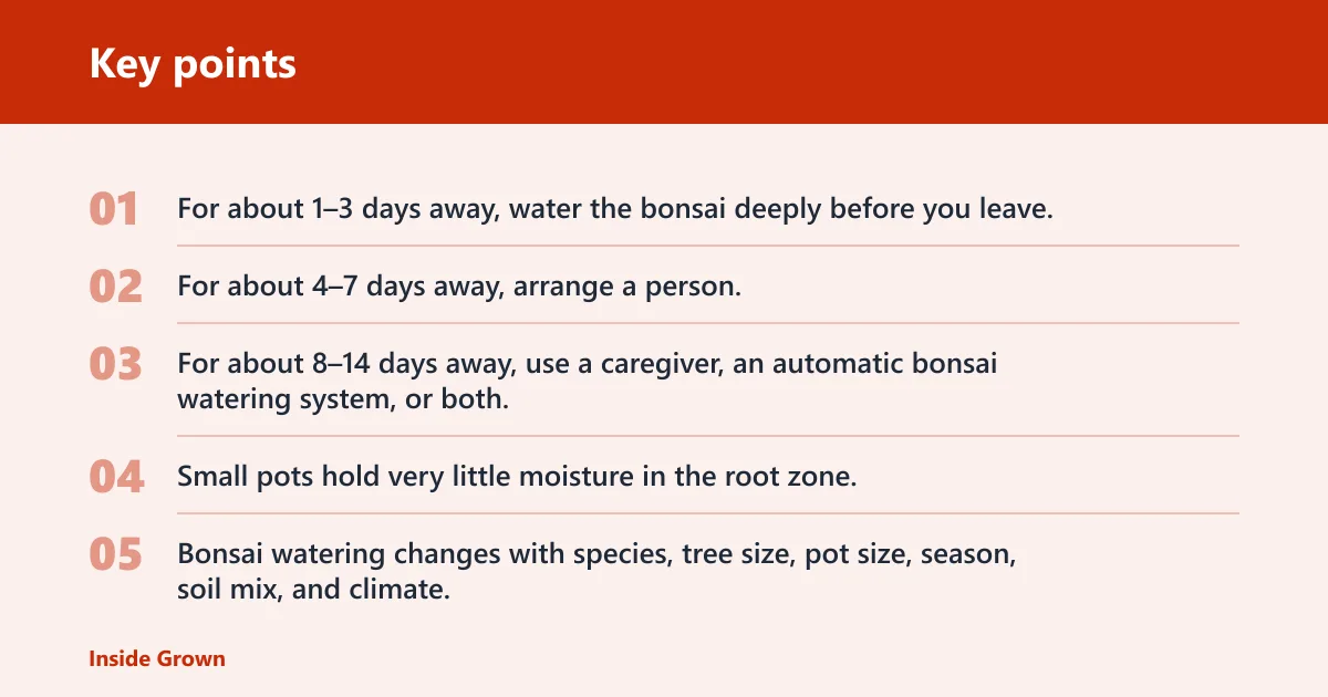 Key points: Bonsai vacation watering plan