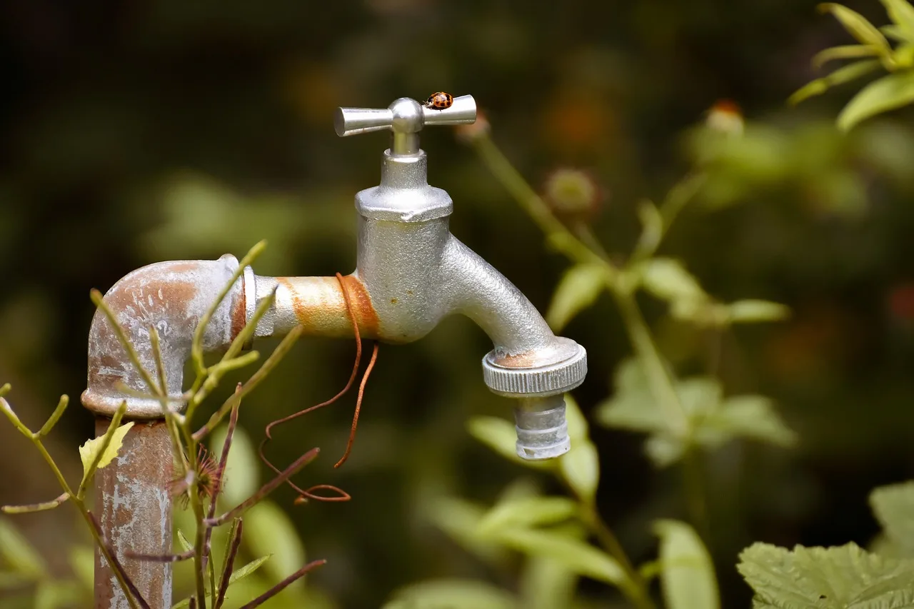 Homeowner winterizing a garden irrigation system beside drip tubing, valves, and bare beds