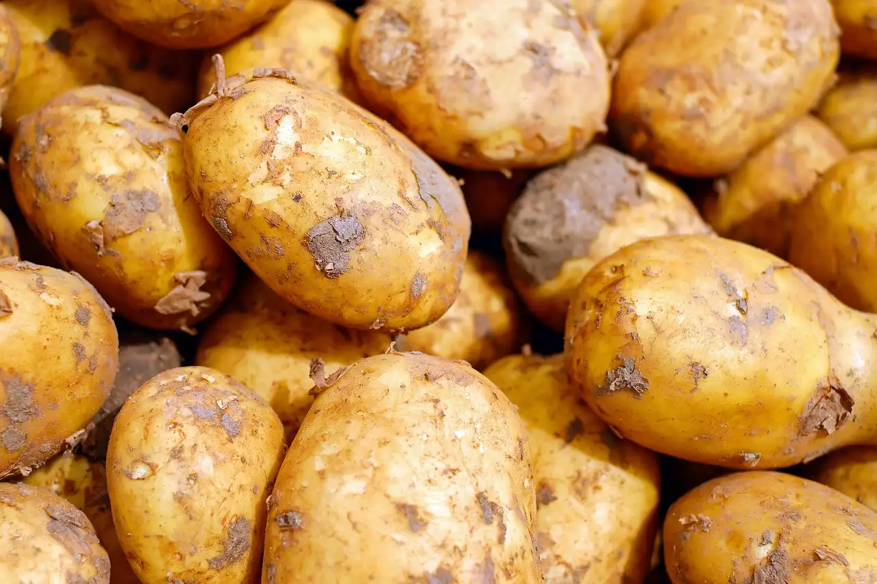 When vermiculite helps vegetable crops, and when it does not
