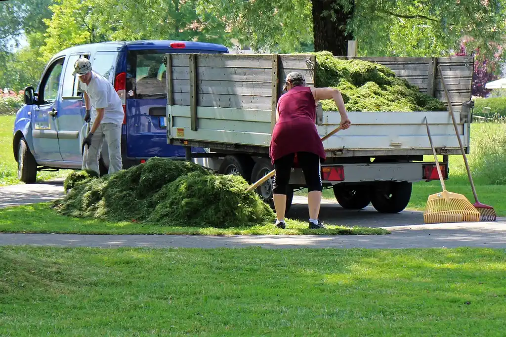 What should you ask before hiring a landscaper for backyard work?