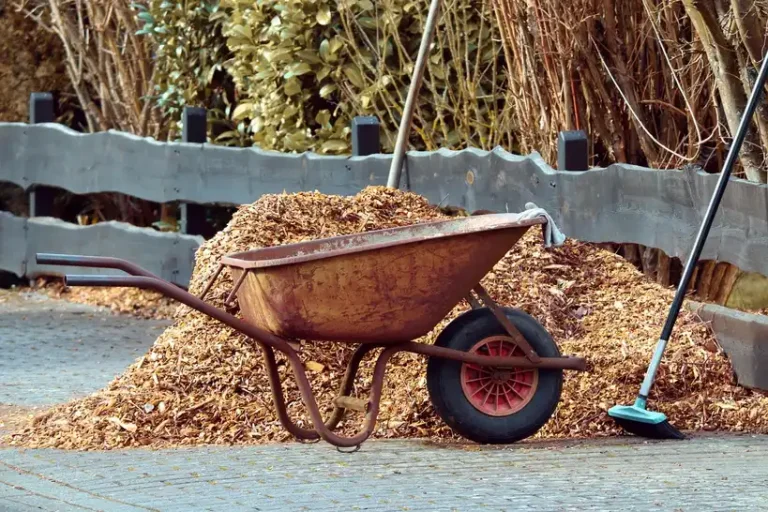 Landscaping services for curb appeal improvements with fresh beds, trimmed shrubs, and a neat front yard