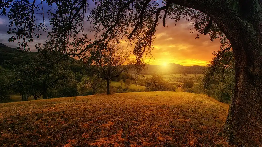 How do landscapers assess sun, shade, slope, and moisture?