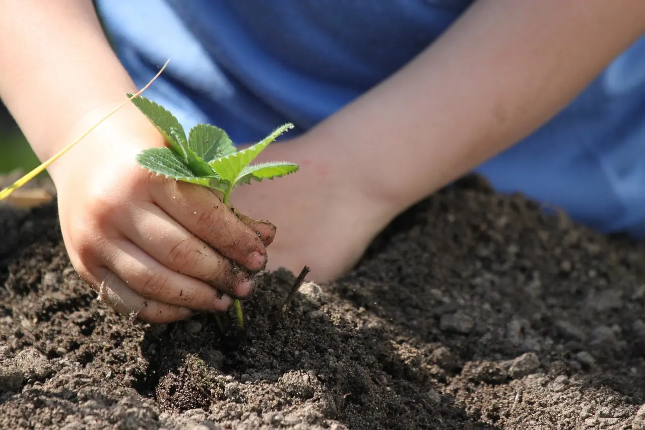 Garden bed installation readiness checklist