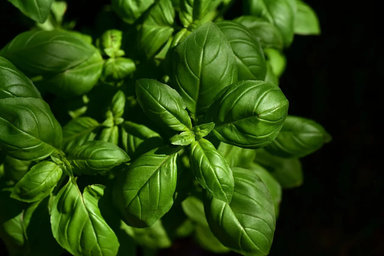 How much does herb garden installation cost?