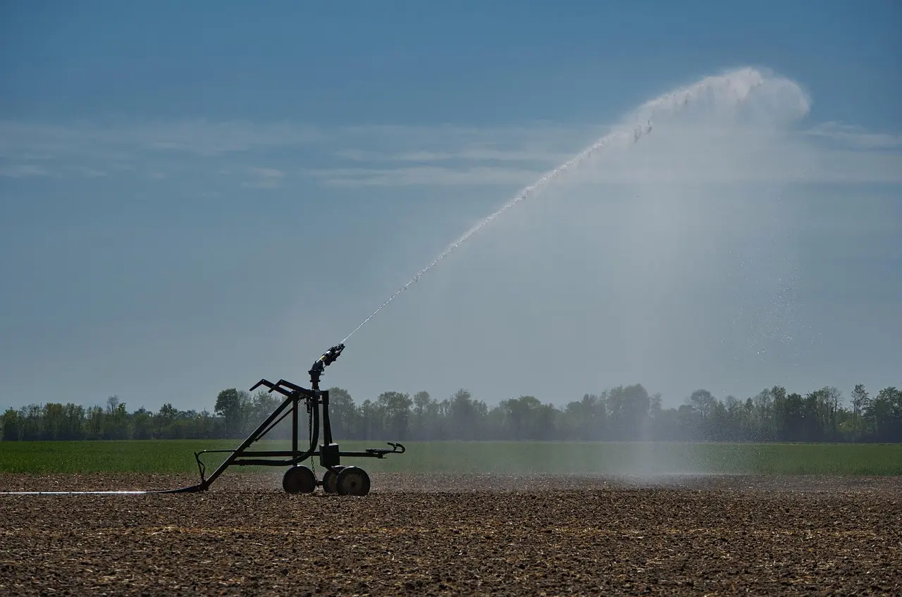 Do you need a sprinkler system, drip, or both?