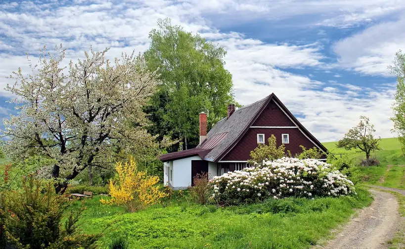 When should trees and shrubs be pruned?