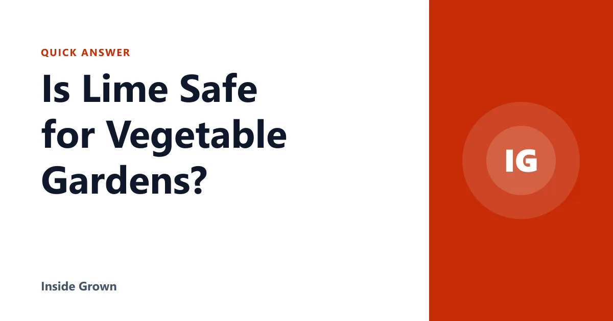 Is Lime Safe for Vegetable Gardens?