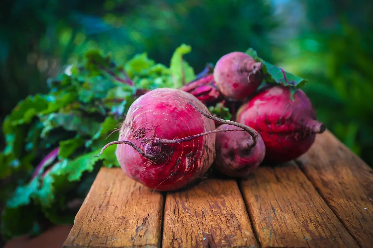 Is lime safe for vegetable gardens?