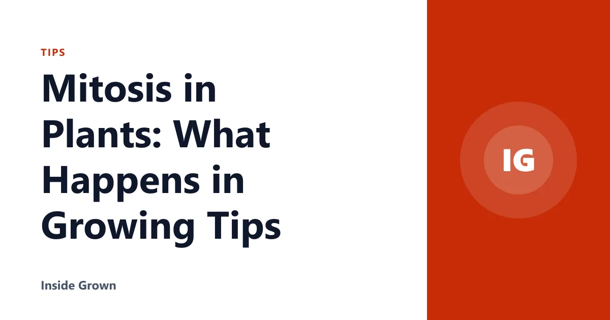 Mitosis in Plants: What Happens in Growing Tips