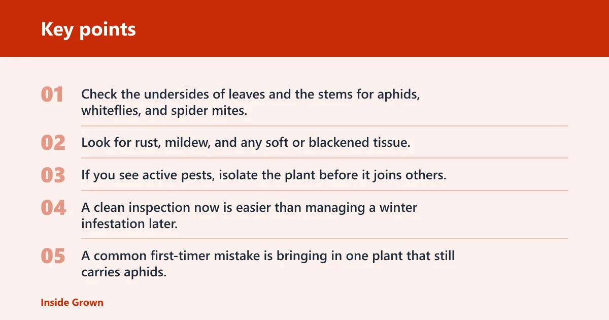Key points: How do you prepare plants before they come in?