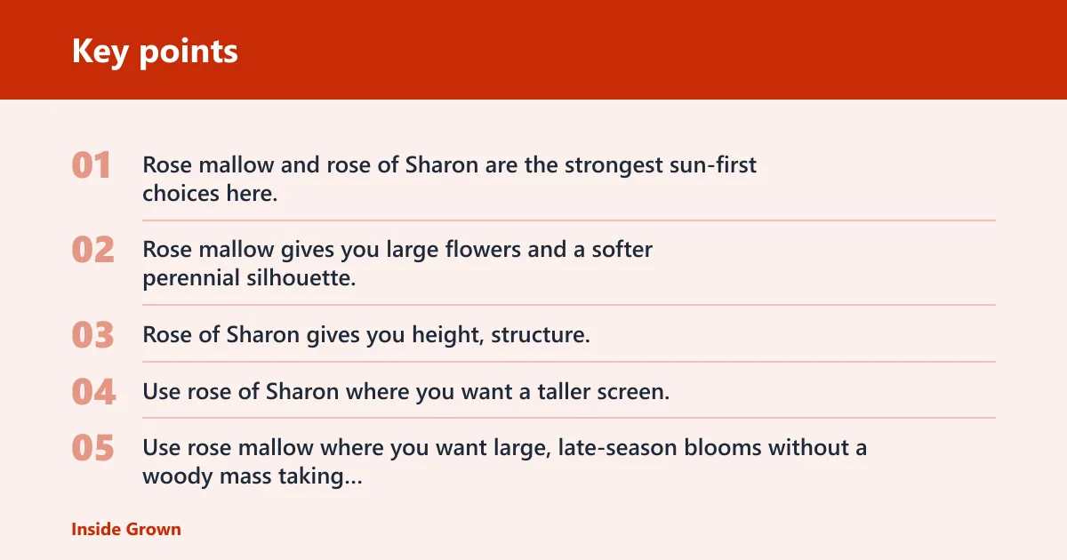 Key points: Which tropical plants work in full sun?