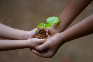 Seed Planting Calendar by Season for Home Gardeners