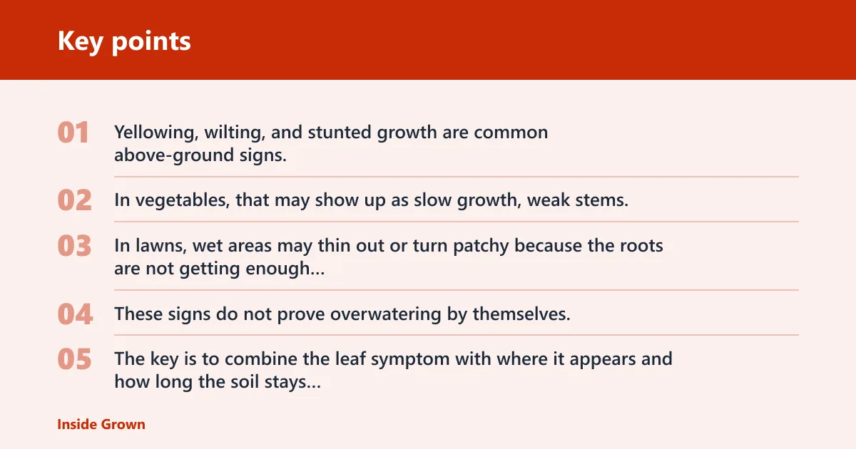 Key points: Why do plants look stressed when soil is wet?