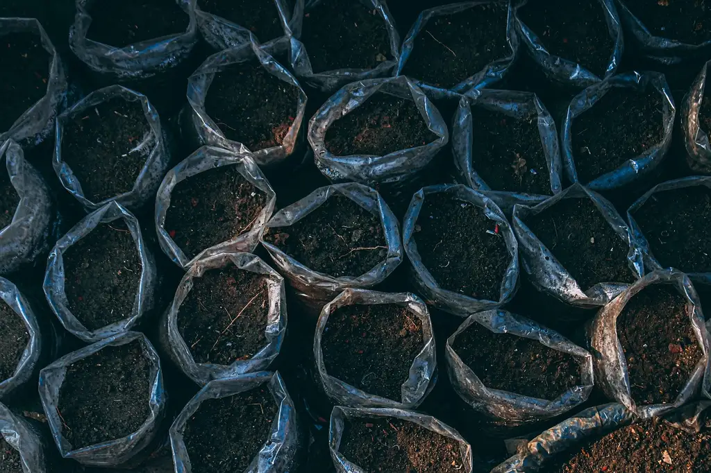 What container plants need from soil