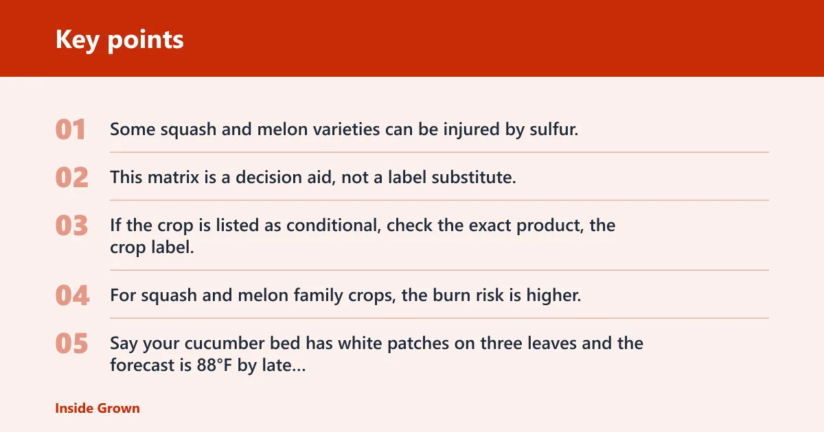 Key points: Which vegetables can you treat with sulfur?