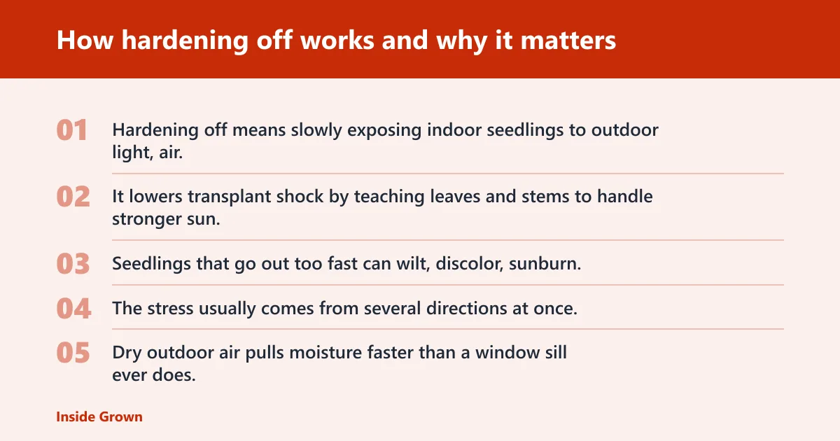 Steps: How hardening off works and why it matters
