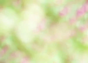 How to Place Lights Around Flower Beds: Spacing Guide