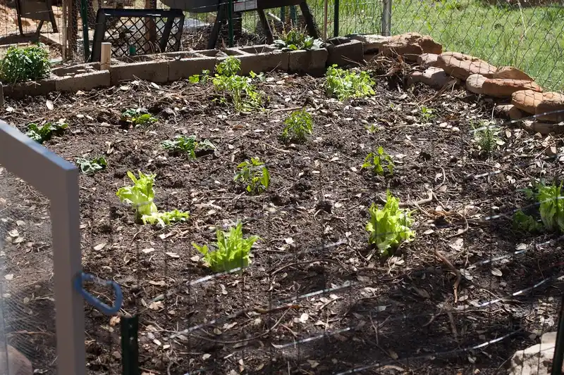 Gloved hands crumble moist garden soil beside compost and a hand fork