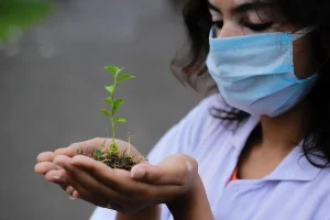 Vegetable Gardening for Beginners: Step-by-Step Start