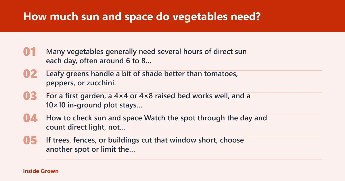 Steps: How much sun and space do vegetables need?