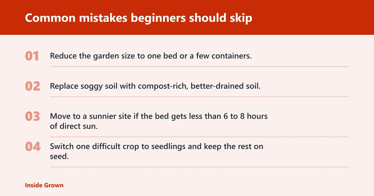Steps: Common mistakes beginners should skip