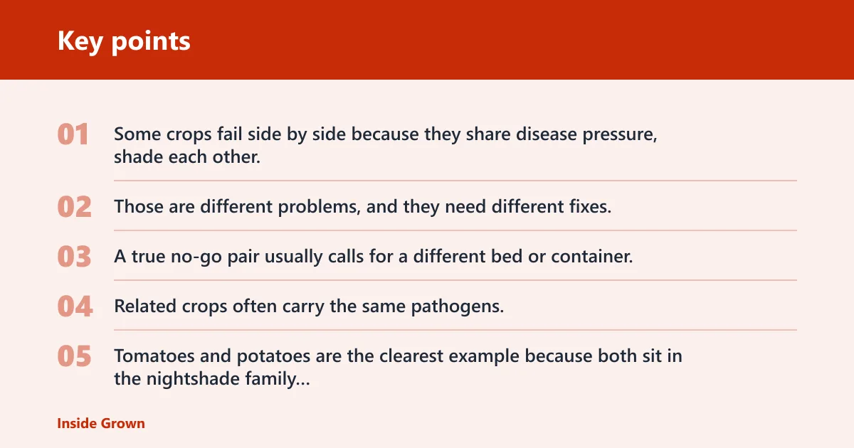 Key points: Why some vegetables should not be planted together